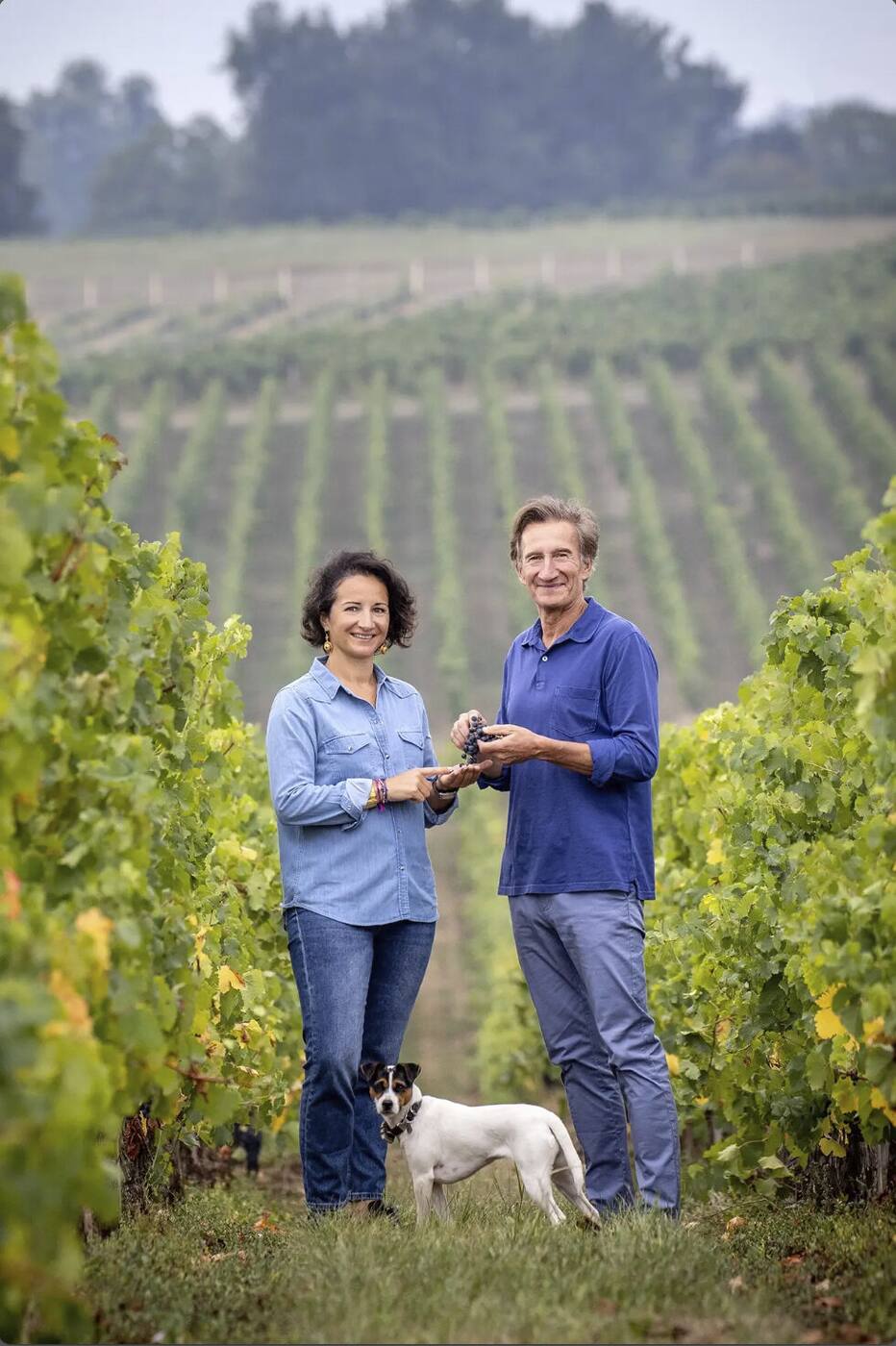 Famille Delarue au coeur du vignoble, cinquième génération de vignerons